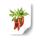 Acuarela Veggie Ii - Naomi McCavitt | Cuadro decorativo de Canvas Lab