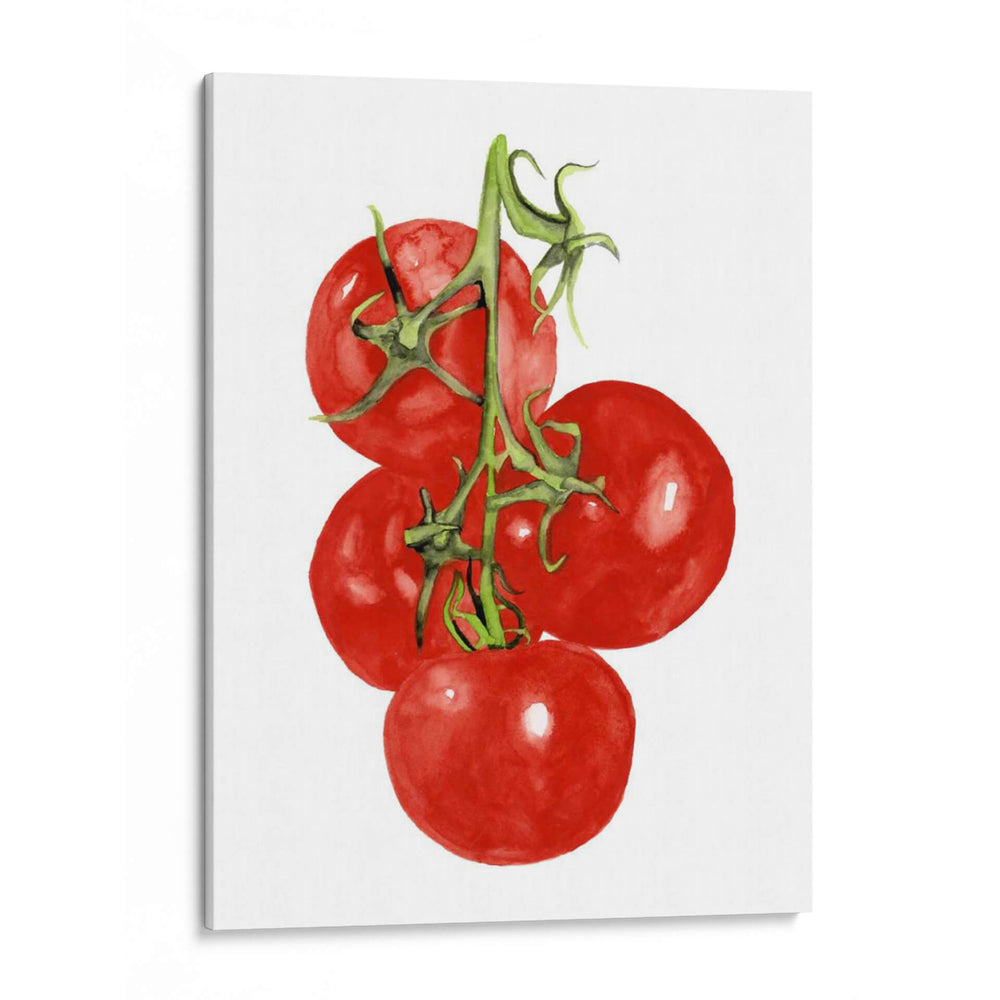 Acuarela Veggie Iv - Naomi McCavitt | Cuadro decorativo de Canvas Lab