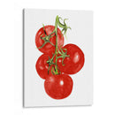 Acuarela Veggie Iv - Naomi McCavitt | Cuadro decorativo de Canvas Lab