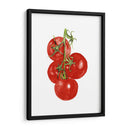 Acuarela Veggie Iv - Naomi McCavitt | Cuadro decorativo de Canvas Lab