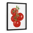 Acuarela Veggie Iv - Naomi McCavitt | Cuadro decorativo de Canvas Lab