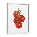 Acuarela Veggie Iv - Naomi McCavitt | Cuadro decorativo de Canvas Lab