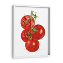 Acuarela Veggie Iv - Naomi McCavitt | Cuadro decorativo de Canvas Lab
