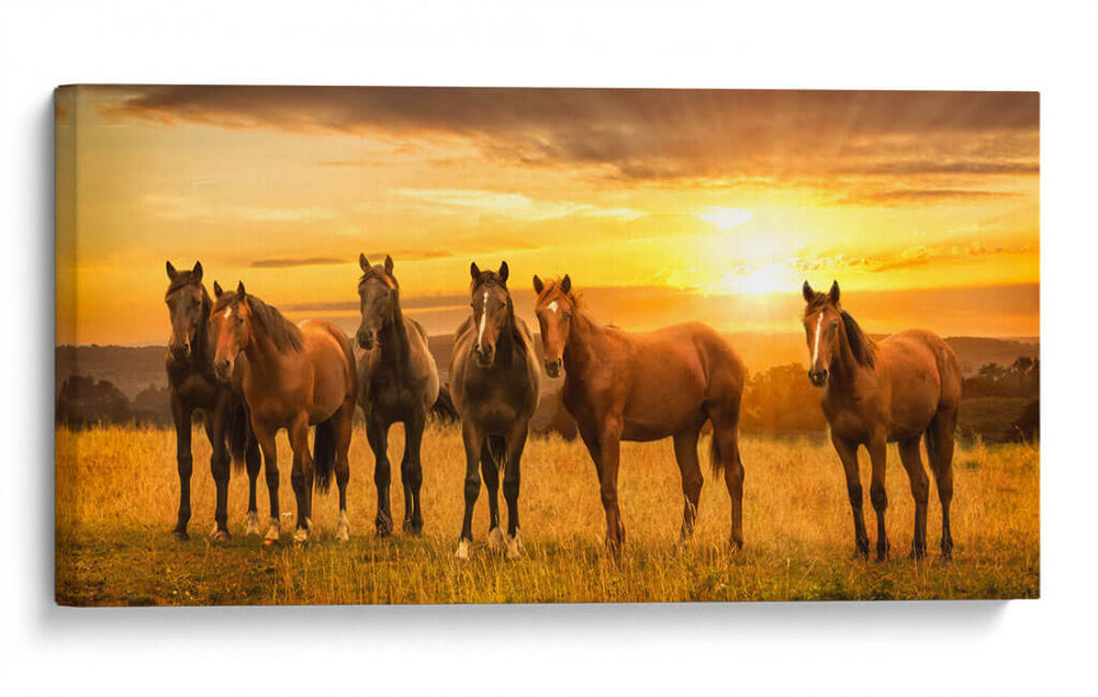 Los seis amigos | Cuadro decorativo de Canvas Lab