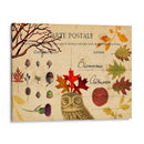 Cobrado Otoño V - Sandy Lloyd | Cuadro decorativo de Canvas Lab