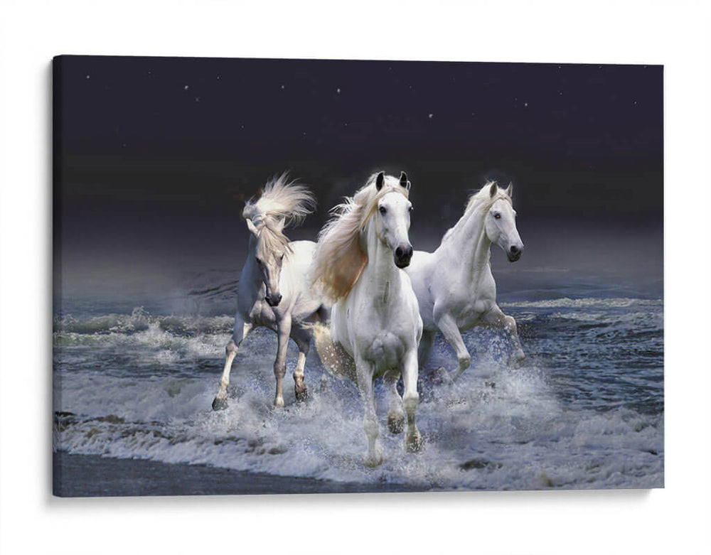 Los tres blancos | Cuadro decorativo de Canvas Lab
