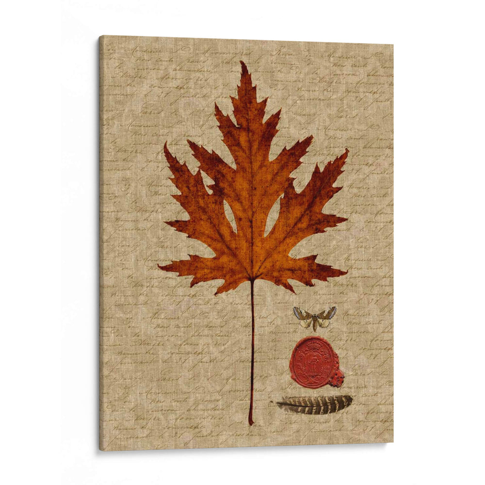 Hoja De Otoño I - Sandy Lloyd | Cuadro decorativo de Canvas Lab