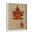 Hoja De Otoño I - Sandy Lloyd | Cuadro decorativo de Canvas Lab