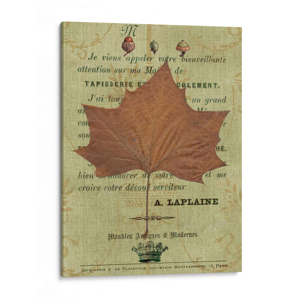 Hoja De Otoño Ii - Sandy Lloyd | Cuadro decorativo de Canvas Lab