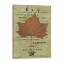Hoja De Otoño Ii - Sandy Lloyd | Cuadro decorativo de Canvas Lab