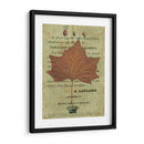 Hoja De Otoño Ii - Sandy Lloyd | Cuadro decorativo de Canvas Lab