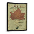 Hoja De Otoño Ii - Sandy Lloyd | Cuadro decorativo de Canvas Lab