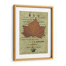 Hoja De Otoño Ii - Sandy Lloyd | Cuadro decorativo de Canvas Lab