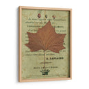 Hoja De Otoño Ii - Sandy Lloyd | Cuadro decorativo de Canvas Lab