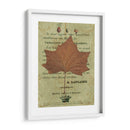Hoja De Otoño Ii - Sandy Lloyd | Cuadro decorativo de Canvas Lab