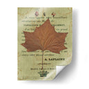 Hoja De Otoño Ii - Sandy Lloyd | Cuadro decorativo de Canvas Lab