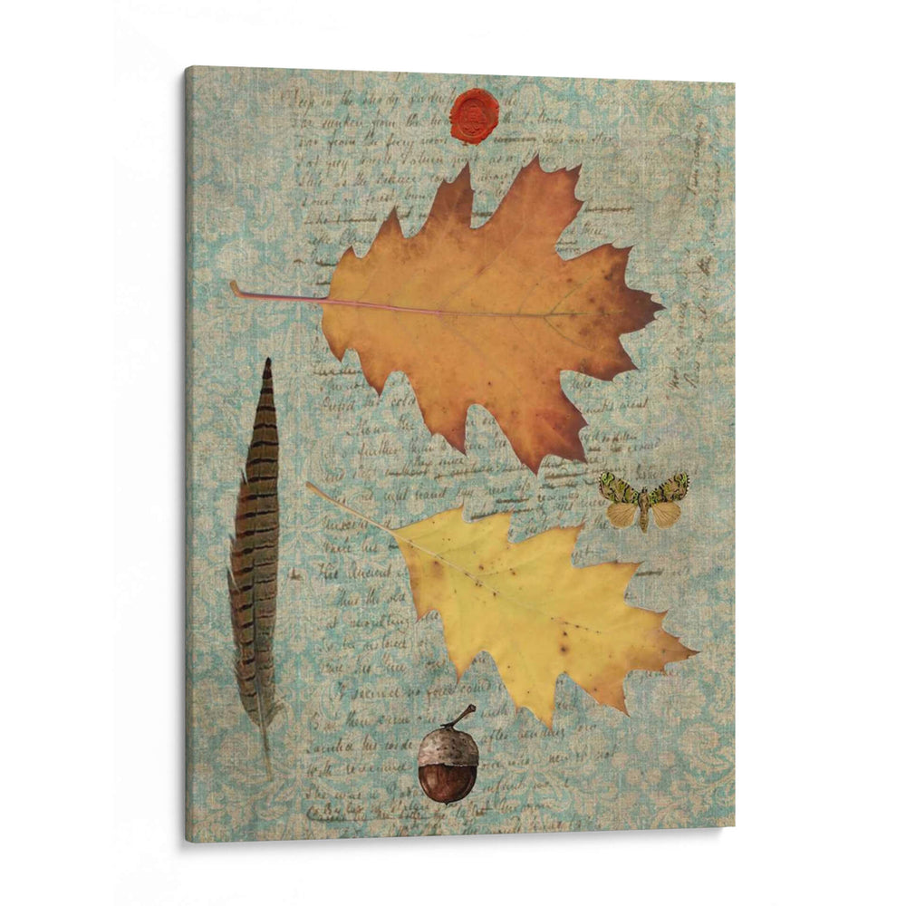 Hoja De Otoño Iii - Sandy Lloyd | Cuadro decorativo de Canvas Lab