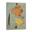 Hoja De Otoño Iii - Sandy Lloyd | Cuadro decorativo de Canvas Lab