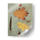 Hoja De Otoño Iii - Sandy Lloyd | Cuadro decorativo de Canvas Lab