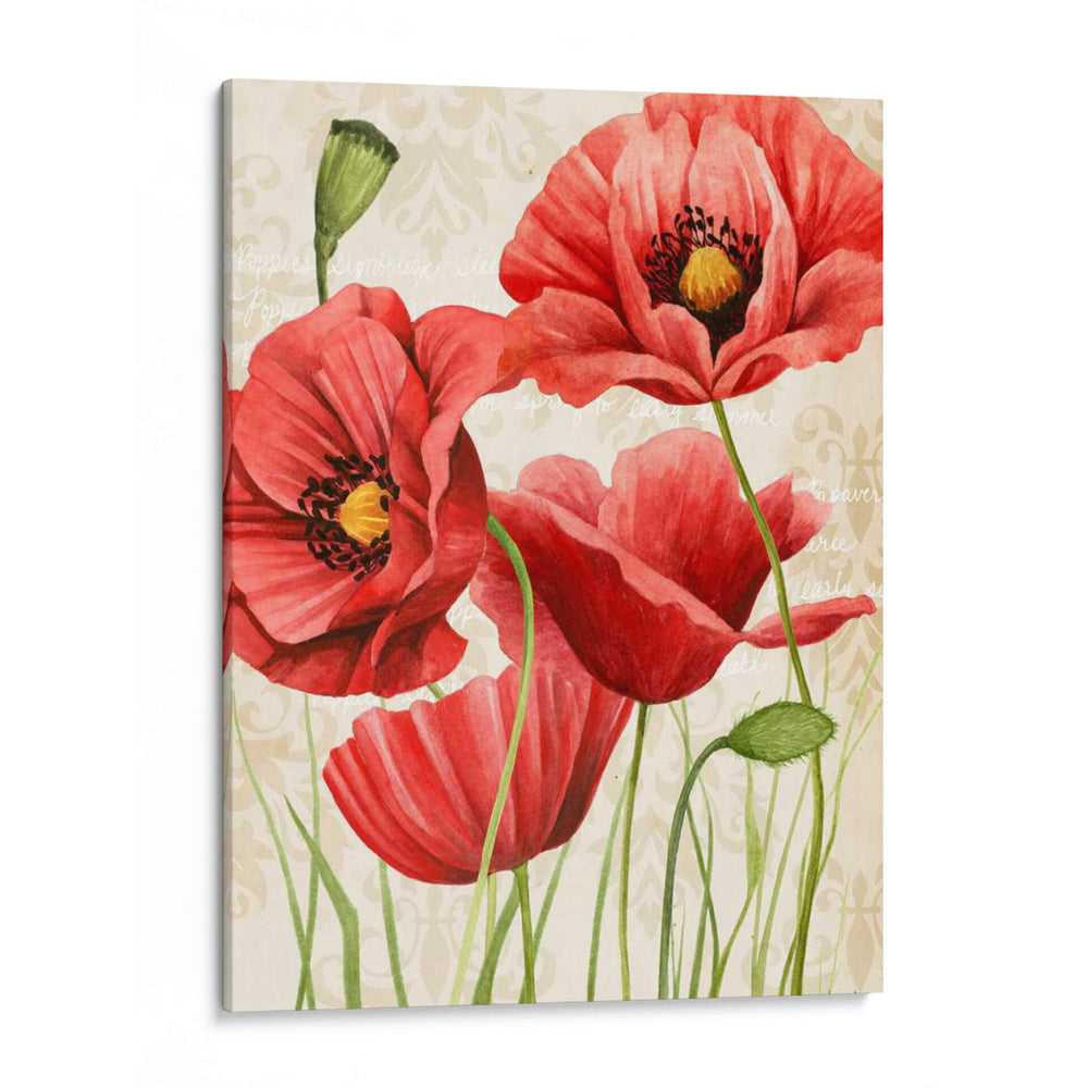 Amapola Preparada - Grace Popp | Cuadro decorativo de Canvas Lab