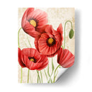 Poppy Ii Poised - Grace Popp | Cuadro decorativo de Canvas Lab