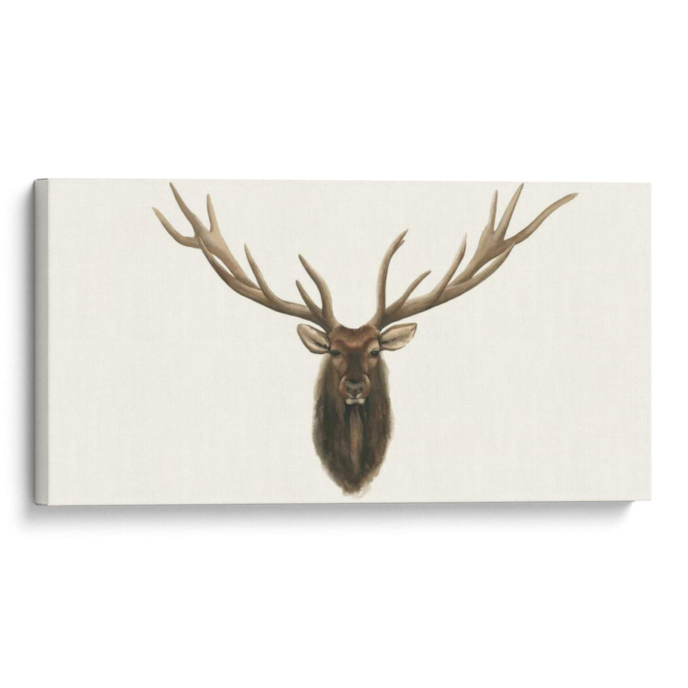 Busto De Alces - Grace Popp | Cuadro decorativo de Canvas Lab