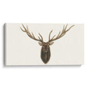 Busto De Alces - Grace Popp | Cuadro decorativo de Canvas Lab