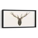 Busto De Alces - Grace Popp | Cuadro decorativo de Canvas Lab