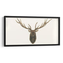 Busto De Alces - Grace Popp | Cuadro decorativo de Canvas Lab