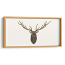 Busto De Alces - Grace Popp | Cuadro decorativo de Canvas Lab