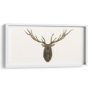 Busto De Alces - Grace Popp | Cuadro decorativo de Canvas Lab