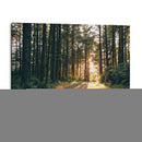 Pacífico Northwest Oregon Iii - Adam Mead | Cuadro decorativo de Canvas Lab