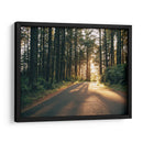 Pacífico Northwest Oregon Iii - Adam Mead | Cuadro decorativo de Canvas Lab