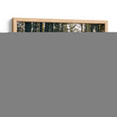 Pacífico Northwest Oregon Iii - Adam Mead | Cuadro decorativo de Canvas Lab