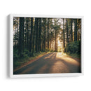 Pacífico Northwest Oregon Iii - Adam Mead | Cuadro decorativo de Canvas Lab