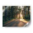 Pacífico Northwest Oregon Iii - Adam Mead | Cuadro decorativo de Canvas Lab