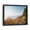 Pacífico Northwest Oregon Viii - Adam Mead | Cuadro decorativo de Canvas Lab