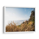 Pacífico Northwest Oregon Viii - Adam Mead | Cuadro decorativo de Canvas Lab