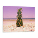 Piña Del Sur De La Florida I - Adam Mead | Cuadro decorativo de Canvas Lab