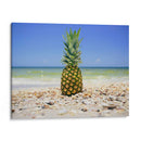 South Florida Piña Ii - Adam Mead | Cuadro decorativo de Canvas Lab
