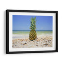 South Florida Piña Ii - Adam Mead | Cuadro decorativo de Canvas Lab