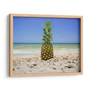 South Florida Piña Ii - Adam Mead | Cuadro decorativo de Canvas Lab