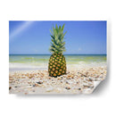 South Florida Piña Ii - Adam Mead | Cuadro decorativo de Canvas Lab