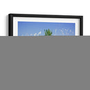 South Florida Pineapple Iii - Adam Mead | Cuadro decorativo de Canvas Lab