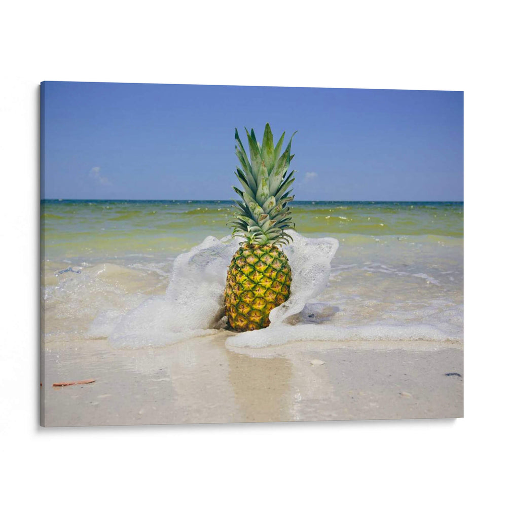 South Florida Piña Iv - Adam Mead | Cuadro decorativo de Canvas Lab