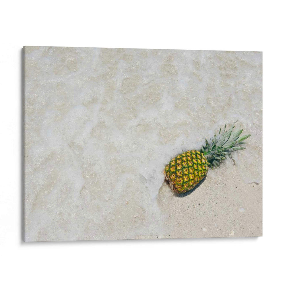 Piña Del Sur De La Florida V - Adam Mead | Cuadro decorativo de Canvas Lab