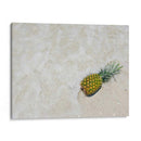 Piña Del Sur De La Florida V - Adam Mead | Cuadro decorativo de Canvas Lab