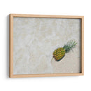 Piña Del Sur De La Florida V - Adam Mead | Cuadro decorativo de Canvas Lab