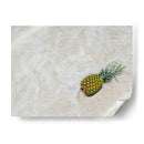 Piña Del Sur De La Florida V - Adam Mead | Cuadro decorativo de Canvas Lab