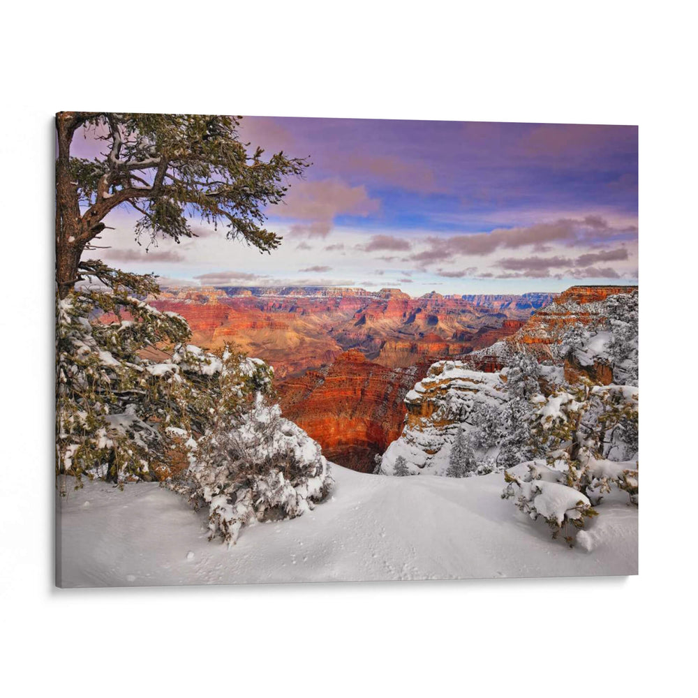 Gran Cañón Nevado Ii - David Drost | Cuadro decorativo de Canvas Lab